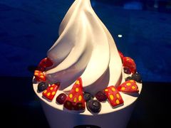 -JW德国冻酸奶Frozen Yogurt(龙湖成都滨江天街店)