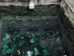 -梨花自助烤肉(乐宾店)