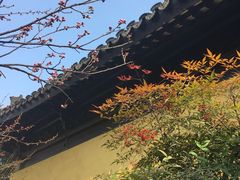 -常熟方塔园