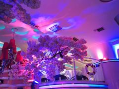 -巴特餐饮6加1音乐餐吧·新疆菜