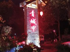 -青城甲(青城山店)