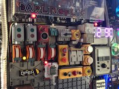 -Darling Queen·Mini·Live·House