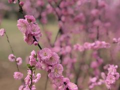 -渭河城市绿地运动公园