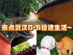 -宝通禅寺