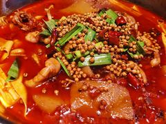 -宽口美蛙鱼头(大唐西市店)