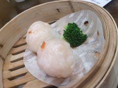 -岭南小生·粤港点心(南门口店)