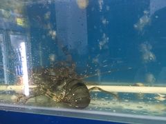 -芽庄老成都川菜馆