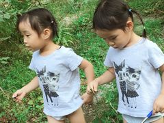 -碓臼峪自然风景区