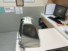 -谐和益家动物医院·免疫绝育·血液透析·宠保定点医院(高新伊藤分院)