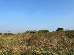 -梁鸿国家湿地公园