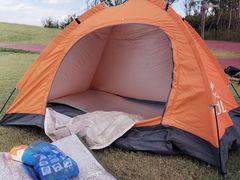 -春花秋色城市公园