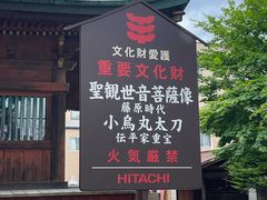 -医王山·飞騨国分寺