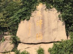 -普陀山佛顶山索道