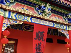 -东莞市大岭山森林公园