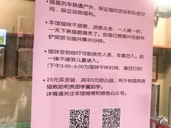 -猫咪博物馆(顶澳仔猫街店)