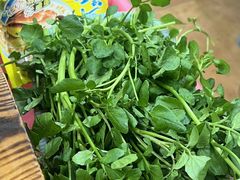 -广宁炭炉鸡煲·富临门饭店