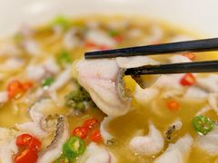 -青花椒花椒鱼(合生汇店)