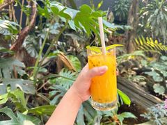 -Fern Forest Cafe