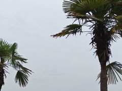 -瑶湖郊野森林公园