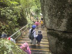 -五营红松林海景区