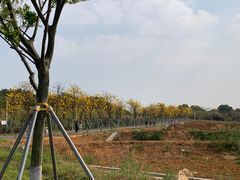 -光明小镇欢乐田园