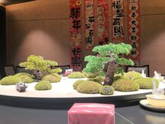 -阿露佳·舌尖上的安吉菜