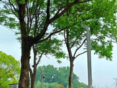 -渤公岛生态公园