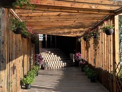 -北京云瑧金陵莲花酒店·莲·川小馆