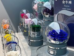 -ROSEONLY诺誓(国际广场购物中心店)