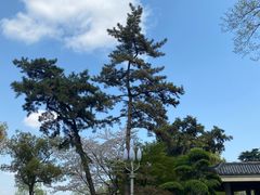 -浙江西子宾馆·瑶园咖啡厅