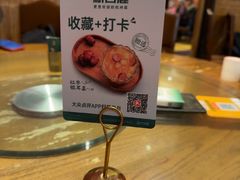 -新白鹿餐厅(龙游路店)