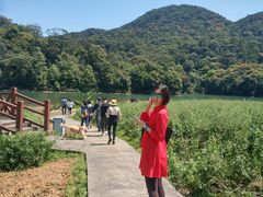 -广州市石门国家森林公园