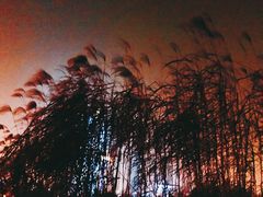 -汉口江滩-五福广场