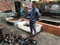 -八仔大富楼·河鲜(西江店)