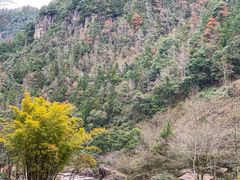 -刘伯温故里景区百丈漈