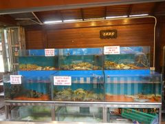 大堂-真浪花园海鲜餐馆