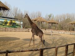 -北京野生动物园