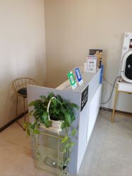 -演员的秘密·皮肤管理