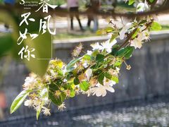 -海棠花溪(元大都城垣遗址公园)