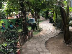 -呀路古热带植物园