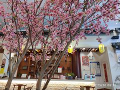 -同得兴面馆.苏式面.三虾面(园区店)