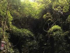 -梭布垭石林景区