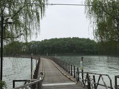 -溱湖国家湿地公园