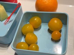 -水木谷养生水汇