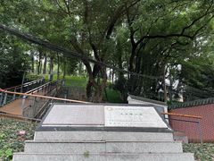 -马王堆汉墓遗址