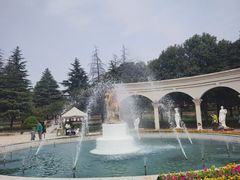 -洛阳郁金香牡丹园