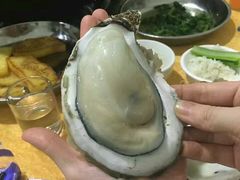 -蚝专家(北滘店)