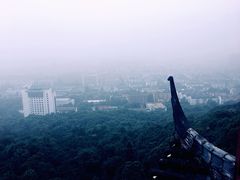 景点-杭州半山国家森林公园