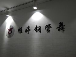 -柯宏＆雅婷塑形钢管舞蹈