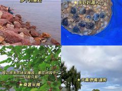 -小桂湾